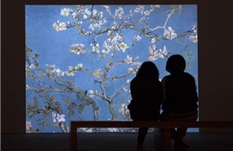 Vừa khai mạc, triển lãm Van Gogh đón hơn 10.000 lượt khách tham quan