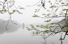 Đông Bắc Bộ có mưa rào và có nơi có dông, đề phòng lốc, sét và gió giật mạnh