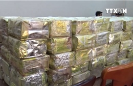 Thu giữ 300 kg ma túy từ đường dây mua bán xuyên quốc gia