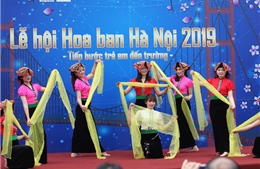 Lễ hội hoa ban lần đầu tiên tổ chức tại Hà Nội 
