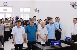 Nguyên Chủ tịch HĐTV Vinashin bị phạt 13 năm tù