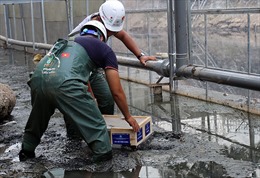 Chuyên gia Nhật Bản trình diễn xử lý bùn sông Tô Lịch thành khí CO2 và nước 