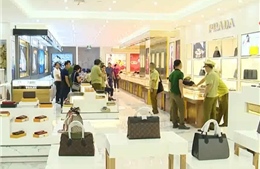Phát hiện 2 trung tâm mua sắm ở Quảng Ninh sai phạm giá trị gần 100 tỷ đồng