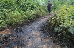 Đối tượng chủ mưu vụ đổ dầu thải sông Đà ra đầu thú