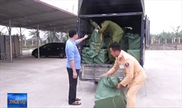 Bắt giữ vụ vận chuyển trái phép gần 1,1 tấn pháo nổ tại Yên Bái