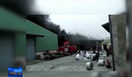 Đám cháy lớn thiêu rụi kho hàng sản xuất bao bì ở Ninh Bình