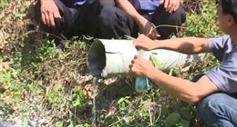 Phát hiện ống ngầm xả thải trực tiếp ra suối tại Bình Phước