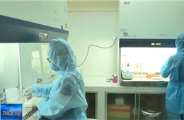 152 mẫu bệnh phẩm ở Đà Nẵng âm tính với SARS-CoV-2