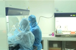 243 mẫu xét nghiệm F1 tại Đà Nẵng âm tính với virus SARS-CoV-2