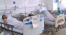 Xác định nguyên nhân vụ 230 người tại Đà Nẵng ngộ độc