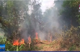 Nghệ An dập tắt hoàn toàn cháy rừng ở Diễn Lộc