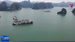 Các chủ tàu du lịch tại Quảng Ninh xin dừng hoạt động
