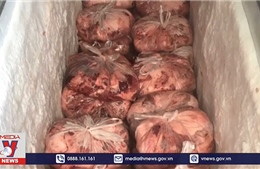 Đồng Nai tiêu hủy hàng tấn sản phẩm thịt lợn đã bốc mùi hôi thối