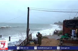 Bình Thuận khẩn trương ứng phó với bão số 9