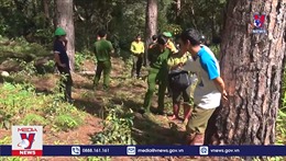 Khởi tố vụ án hủy hoại rừng phòng hộ đầu nguồn ở Lâm Đồng