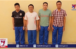 Triệt phá băng nhóm trộm cắp chuyên nghiệp tại Bình Phước