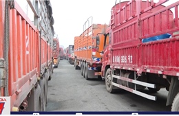 Hàng nghìn xe container mắc kẹt ở cửa khẩu Kim Thành - Lào Cai