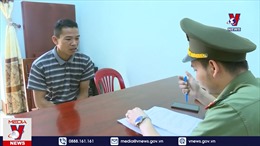 Khởi tố đối tượng tổ chức cho người nước ngoài ở lại Việt Nam trái phép