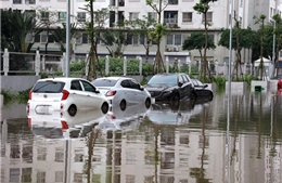 Hà Nội: Hàng chục ô tô tại khu chung cư Ecohome chìm trong &#39;biển nước&#39; sau cơn mưa lớn
