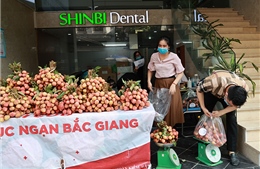 Người Hà Nội rủ nhau mua vải hỗ trợ người dân vùng dịch Bắc Giang