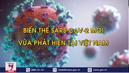 Sự nguy hiểm đến từ biến thể SARS-CoV-2 mới vừa phát hiện tại Việt Nam