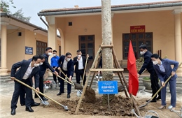 Phát động dự án trồng đường cây mộc miên tại suối Yến, chùa Hương