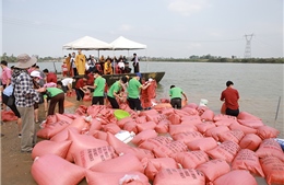 Lễ thả cá phóng sinh, tái tạo nguồn lợi thủy sản tại sông Lam