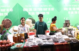 Tuần hàng Quảng bá nông sản, sản phẩm OCOP Hà Nội: Du khách hào hứng với đặc sản vùng miền 