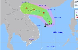 Áp thấp nhiệt đới mạnh lên thành bão số 2, biển động mạnh