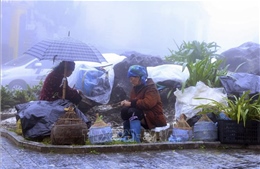 Thời tiết ngày 3/12: Bắc Bộ nhiệt độ tăng, Trung Bộ mưa rất to