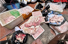 Thu giữ hơn nửa tấn nầm lợn đang phân hủy định bán cho các quán ăn, lẩu nướng