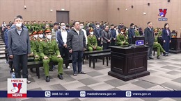 Tổng Giám đốc AIC Nguyễn Thị Thanh Nhàn bị phạt 30 năm tù