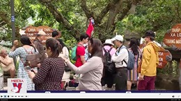 Lượng khách quốc tế đến Đà Nẵng phục hồi khả quan