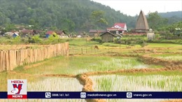 Kon Tum: Chấn chỉnh tình trạng vi phạm đất đai ở Kon Plông