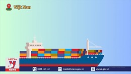 Doanh nghiệp lại suýt mất 5 container điều xuất khẩu
