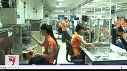 Việt Nam bắt đầu hình thành hệ sinh thái sản xuất chip