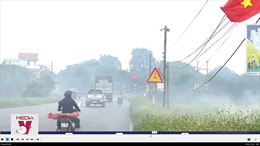 Nam Định sẽ xử lý hình sự việc đốt rơm rạ gây ô nhiễm môi trường