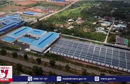 Lâm Đồng buộc tháo gỡ hệ thống điện mặt trời trái quy định trong khu công nghiệp