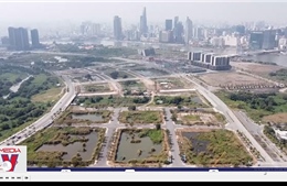 TP Hồ Chí Minh ủy quyền các địa phương quyết định giá đất