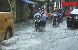Thời tiết ngày 1/8: Bắc Bộ và Thanh Hóa có mưa to, cục bộ có mưa rất to