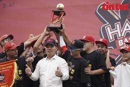 Đội Hanoi 29ers vô địch giải bóng chày Hà Nội 2023