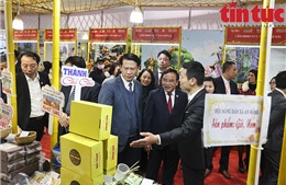 Lần đầu tiên Hanoi Agriculture Fair 2023 tổ chức tại Hải Phòng