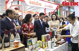 Gian hàng HPA thu hút nhiều doanh nghiệp tại Hội chợ Vietnam Expo 2024