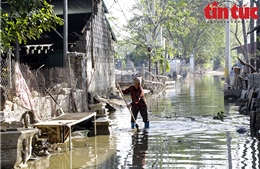 Hà Nội: Tập trung hỗ trợ những nơi còn bị ngập lụt và khôi phục sản xuất