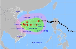 Ứng phó với bão số 6: Cảnh báo có sông lũ trên báo động 3