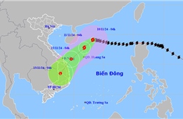 Thời tiết ngày 10/11: Bão số 7 suy yếu thành áp thấp nhiệt đới