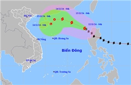 Thời tiết ngày 12/11: Bão số 8 di chuyển theo hướng Tây Bắc, gió giật cấp 12