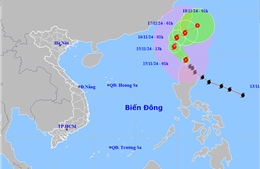 Thời tiết ngày 15/11: Mưa dông, gió mạnh trên biển 