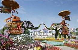 Festival Hoa Mê Linh 2024: Rực rỡ sắc hoa, quảng bá làng nghề trồng hoa