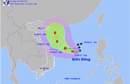 Thời tiết ngày 11/6: Áp thấp nhiệt đới mạnh lên thành bão, mưa lớn ở Trung Bộ và Tây Nguyên